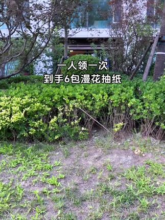 漫花抽纸大羊毛!!这个价就到手6大包,一人可领一次,快薅!#生活用纸 #漫花抽纸 #超便宜超划算 #好物推荐🔥