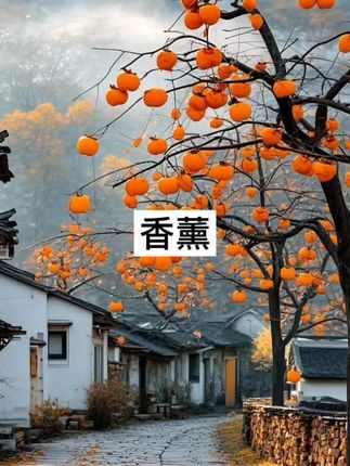 #车载香薰 #车品好物分享 #车品