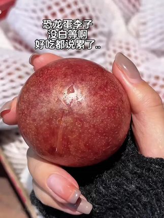 我才知道新疆恐龙蛋李子,竟然这么好吃呀呀呀啊#恐龙蛋李子#强烈推荐#李子#应季水果
