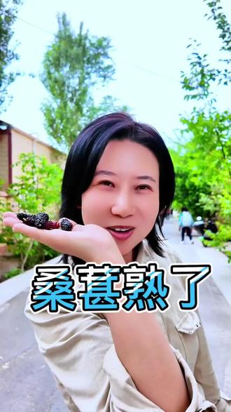 库尔勒乡下的桑葚熟了,周末大家可以邀起来了。#上热门 #桑葚熟了 #乡下人的生活 #采摘采摘啦 #大美新疆 @巴音哥 @梦瑶