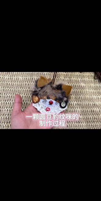 云南天然豆荚制作小猫咪挂件#手工diy #手艺人 #云南榼藤豆荚 #摆件#礼物🎁