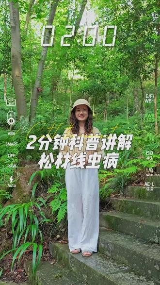 2分钟科普讲解-松材线虫病 #科普讲解 #松材线虫病