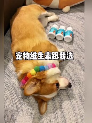 小狗维生素跟我选🤔 ##狗狗 #宠物维生素#萌宠日常记录 #狗狗的心思都写在脸上了 #宠物用品