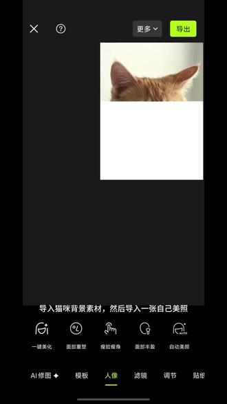 不小心长出猫耳朵了怎么办#小猫 #fyp小猫 #双人拍照 #醒图 #醒图创作者 白色小猫耳朵模板 橘猫和黑猫合照素材 猫咪耳朵p图素材 猫耳朵手势照教程 小猫耳朵素材 猫耳朵p图素材 猫耳朵p图教程 猫耳p图教程 猫耳p图素材 长猫耳朵了图片素材 猫耳朵特效制作教程 猫耳朵贴纸素材 猫耳朵贴纸 不小心长出猫耳朵图片素材 fyp小猫底图 fyp小猫素材 白色底猫咪图片素材