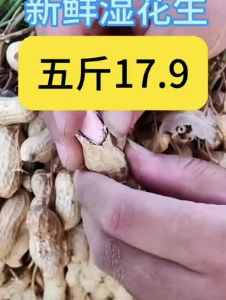 #现挖现发新鲜湿花生 (顺丰包邮)2025年罗汉果小白沙农家现挖新鲜生湿花生现挖现发@@抖加🔥上热门🔥dou+🔥热点宝 @DOU+上热门 @抖音好东西