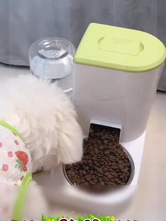 #宠物专用 #宠物自动喂食器#猫咪狗狗专用