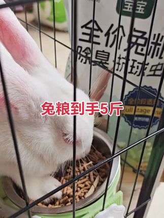 #宠物吃货 #科学喂养 #萌宠计划 #萌宠推荐官 #萌宠出道计划