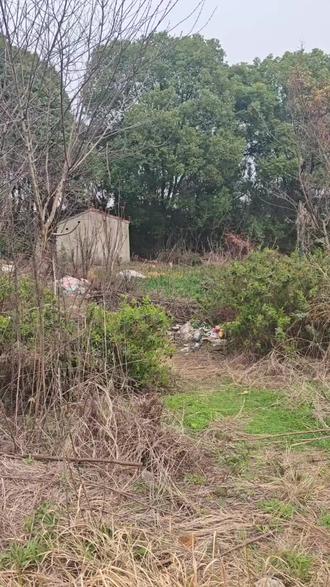 #骑行 土地庙(又称福德庙、伯公庙),是中国民间供奉土地神(福德正神) 的微型祭祀场所,遍布乡村街巷;多为简易石砌/砖筑小龛/小屋,用于祈福农事丰收、家宅平安,是乡土信仰的典型符号 。#享受大自然