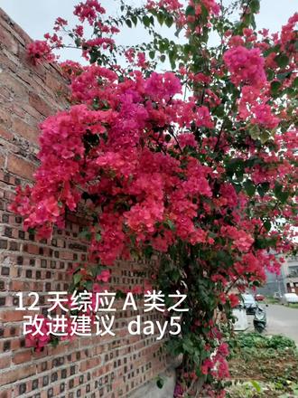 #事业编 12天学综应A类~改进建议,day5