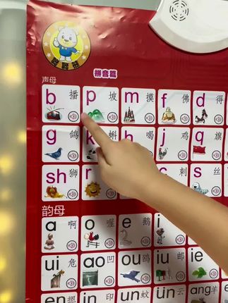 这款有声挂图真的惊讶到我啦!这个价竟然到手这么有趣又好玩的学习玩具,字体清晰发音准确还具有挑战性,孩子边玩边学轻松掌握知识#幼小衔接 #汉语拼音 #有声挂图 #学习玩具 @巨量千川 @DOU+小助手