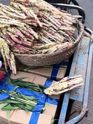 安徽无为本地嫩姜上市了,新鲜带泥发货#家乡特产 #优质农产品 #新鲜农产品 #无为嫩姜