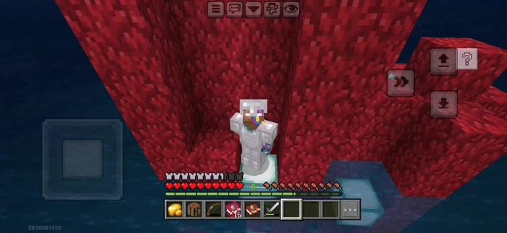 生存之旅5(上)#我是世界