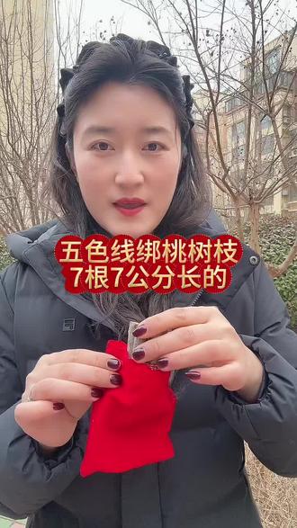 桃木东南枝五色线绑桃木枝随身携带车载桃枝五色绳7根桃木枝#传统习俗 #桃树枝 #五色线绑桃树枝