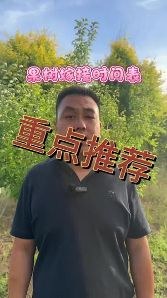 果树嫁接时间表#农业保值知识分享 #果树种植要点 #果树种植技术推广 #作物种植所需的元素 #果树种植技术推广