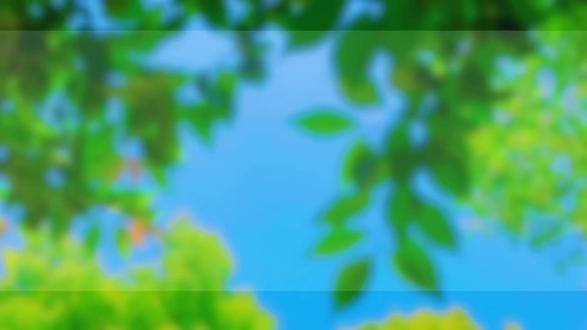 3·12植树节🌱|童心植绿,共护成长🌳
亲手制作认养植树牌🖍️✨
用小小行动,种下一片希望💚
让每一棵树苗,都被温柔守护🌿让每一份爱心,都长成参天大树🌲