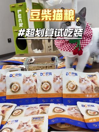 养猫的姐妹,猫粮一定要选大品牌,豆柴这波活动6.9就能到手3袋,这么便但是一人只能拍一单!#豆柴 #猫粮推荐 #新手养猫 #科学养宠 #吃货猫