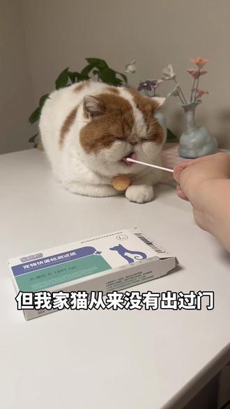 给抓了我手手猫猫测了一下,竟然…#进阶养宠指南 #宠物 #狂犬疫苗