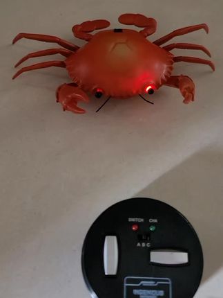 暑假儿童玩具,电子仿生玩具。遥控电动螃蟹。蜻蜓,昆虫等,科技玩具,仿生玩具#专业的事交给专业的人来处理 #遥控电动螃蟹#电子仿生玩具
