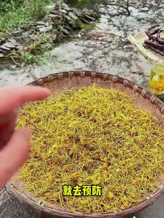 #养生保健