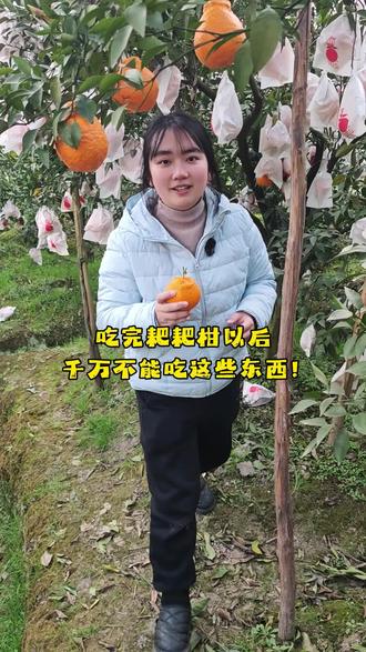 吃完耙耙柑以后,千万不能吃这些东西……#耙耙柑 原创@新一果业 #农村生活 #搞笑视频