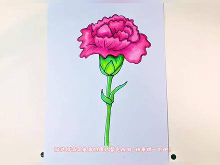 母亲节来啦,用画笔制作一朵康乃馨送妈妈吧#零基础学画画 #跟着抖音学画画 #简笔画 #花朵绘画教程 #母亲节