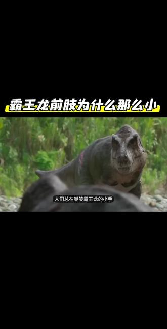 霸王龙的前肢的作用#未解之谜 #霸王龙