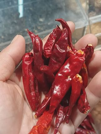 喜欢吃辣椒的朋友看过来了,这个就是咱们家的河南新一代三樱椒,它可是微辣特香的,不管是用来炒菜还是凉拌都特别好吃,它的颜色鲜亮,吃起来辣而不燥,香而不腻,真的是太棒了!如果你也想尝一尝这种好吃的辣椒,那就赶紧点击下方链接下单吧!