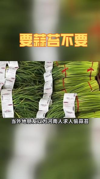 蒜苔、豆角,是每一个河南孩子的梦,至于啥梦你别管 #河南蒜苔 #蒜苔 #林肯航海家 #林肯舒奢瞬间 #林肯舒服学