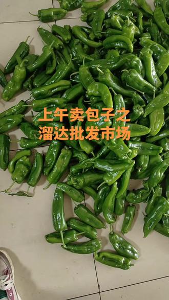 不辣还好吃的😃😃#新鲜辣椒做法 #辣椒新鲜采摘 #我家辣椒 ##记录我的生活