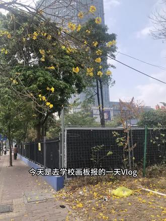 #开学 #画板报 今天录一期Vlog