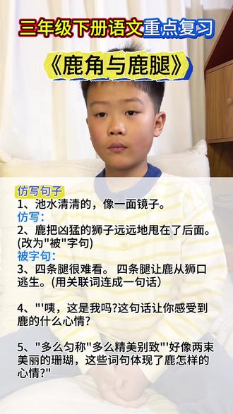 三年级下册语文《鹿角与鹿腿》复习要点#创作者中心 #创作灵感 #每天跟我涨知识 #辅导作业的那些事 #陪娃学习