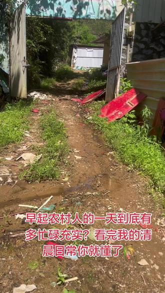 早起农村人的一天到底在忙些什么?#田园生活 #农村真实日常 #养鸡喂鸡 #开荒种地记录我的农村生活 #乡间慢生活