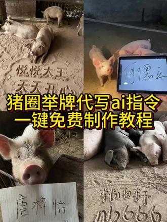 猪圈代写 #即梦ai #猪圈写字 #猪圈写字多少钱 #猪圈举牌 #鸡圈举牌 猪圈举牌免费,猪举牌ai指令,猪圈举牌文案,猪圈举牌雨雨,猪圈举牌平板,猪圈代字,猪圈写字ai,猪圈写字怎么收费,猪圈写字豆包,猪圈写字免费,猪身上写字,猪圈举牌多少,猪圈举牌婷