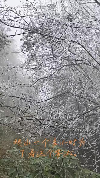 白凿山登山公园都堵车了。南方人稀罕这个东西,建议去北方住几天,看个够。#雾凇美景