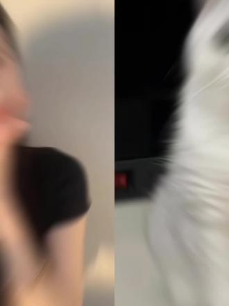 豆包你还是太权威了,和宠物拍立得合照指令教程来啦!#豆包ai#豆包P图已经nextlevel了#指令#宠物#合拍