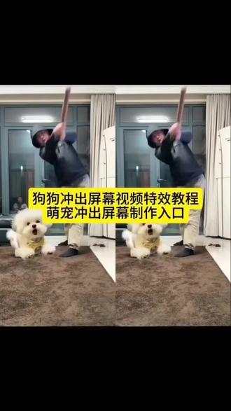 狗狗冲出屏幕视频特效教程来了,萌宠狗狗冲出屏幕,狗狗冲出屏幕特效教程,狗狗飞出屏幕视频,狗狗冲出屏幕制作方法,萌宠发射特技,教程,萌娃发射特技,萌宠发射特技教程,狗狗飞出屏幕教程,萌宠冲出屏幕教程,萌娃冲出屏教程,萌娃飞出屏幕教程,萌娃发射特技,猫咪飞出屏幕教程,ai接孩转场#狗狗冲出屏幕 #萌宠发射特技 #剪映#萌娃发射特技 #萌宠发射特技教程