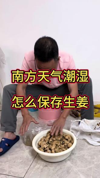 常温下生姜怎么保存不烂 #生姜怎么保存不坏 #生姜储存方法 #保存生姜小技巧
