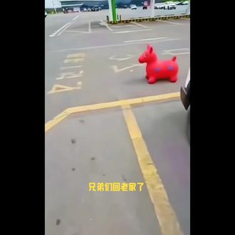 兄弟们回老家过年了,咱们一起看看邓州人都喜欢开哪些品牌的车呢?国产品牌真的崛起了!#回村过年#重庆长安车友会#重庆CS75PLUS车友会和相关车型#内燃机