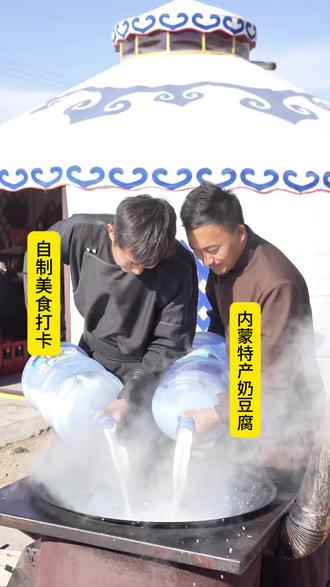 自制美食 内蒙特产奶豆腐