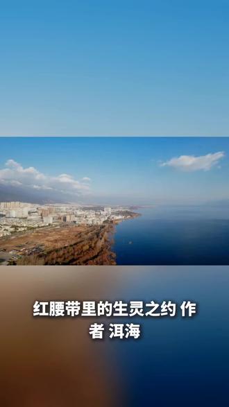 纪录片《重返狼群》中,画家李微漪与狼格林相守七年,以放手成全其重返草原的自由。红腰带为证,格林用守护诠释跨物种深情,击碎狼性凶残的偏见。影片背后,野生狼群濒危的现状敲响生态警钟,道破贪欲的可怕。这段动人的生灵之约,让我们读懂爱的真谛,常怀敬畏,温柔以待世间万物!红腰带#生灵之约#自由深爱#格林草原#守护敬畏#