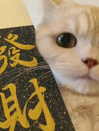 穿过那么多鞋子,还是这双黑布鞋上脚舒适又轻便。#一脚蹬 #舒适透气 #黑布鞋 #简约大气