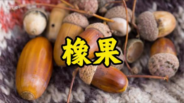 听故事学中药,今天讲橡果的故事#橡果 #听故事学中药 #传统文化