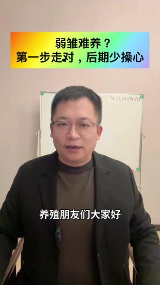 弱雏难养?第一步走对,后期少操心!#三农 #涨知识 #家禽养殖 #肉鸡养殖 #笼养肉鸡