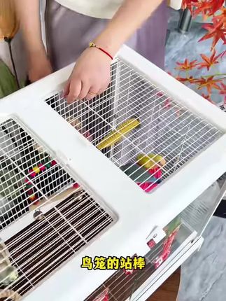 #站棒 #站杆 @DOU+小助手