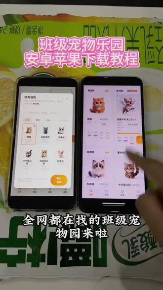 《祥和宝库》班级宠物园OurTeacher下载教程最近很火的班级养宠物啦!#班级养宠物 #班级养萌宠 #班级管理干货 #养宠物app