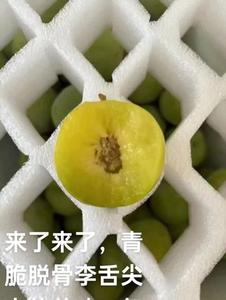 #新鲜采摘