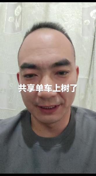#平顶山的共享单车怎么长树上了 共享单车上树拉!#