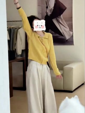 #上热门 #秋款长袖衬衫阔腿裤两件套 #女装两件套 #好物推荐🔥