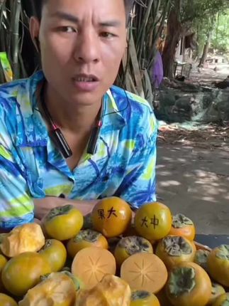 脆甜柿子熟了#柿子熟了 #脆甜柿子 #柿子怎么泡又脆又甜 #搞笑带货视频 #水果分享