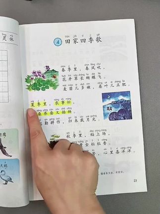 #二年级 同步#优美句子 积累与仿写,有#句子仿写 词语搭配、词语积累,每天十分钟,为写作打好词语句子基础